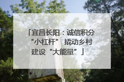 宜昌长阳：诚信积分“小杠杆” 撬动乡村建设“大能量”